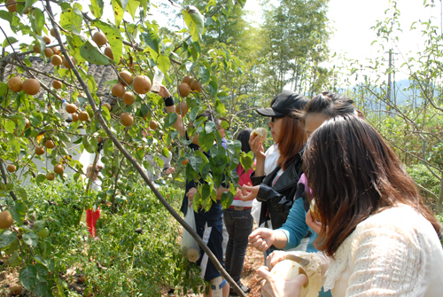 納新紅酒活動(dòng)