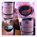 納新法國西班牙酒莊考察學(xué)習(xí)之旅（6）---- 品酒篇