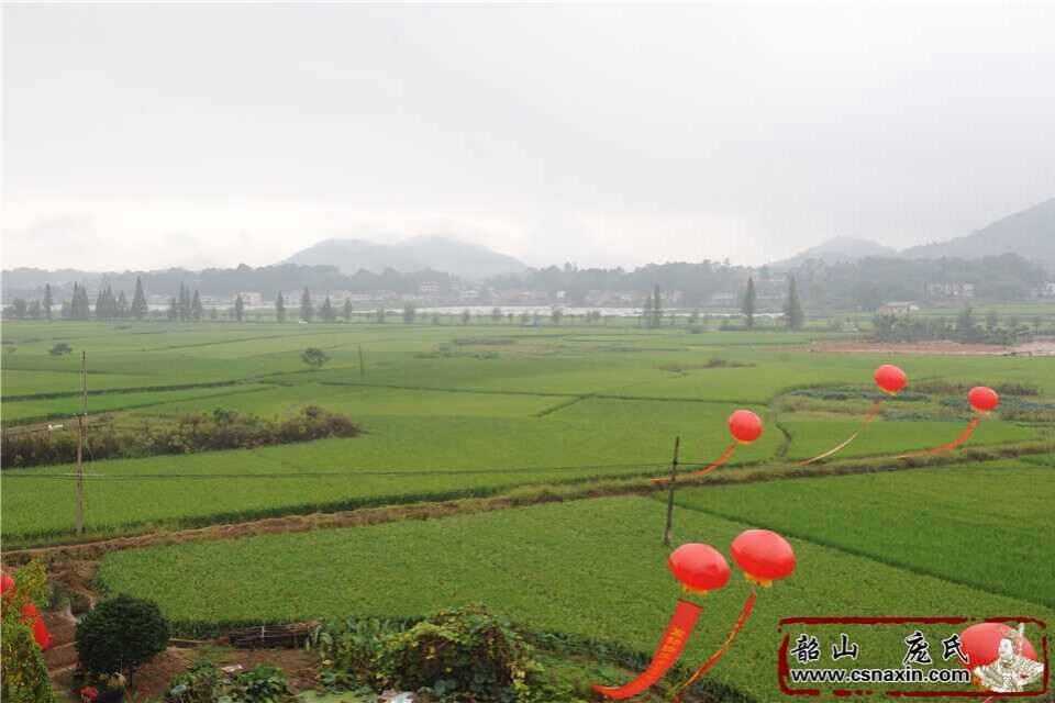 革命紀念地韶山龐氏宗祠原址重建落成紀實——雨中石羊