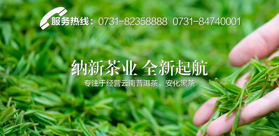 【納新茶業(yè) 揚帆起航】