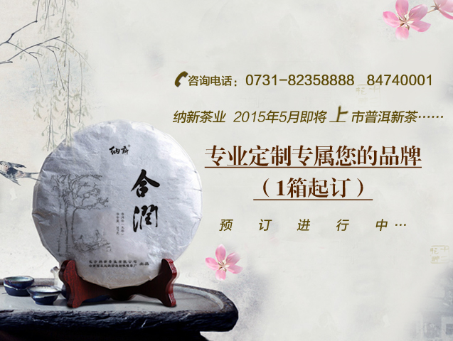 納新茶業(yè)5月即將上市普洱茶新品【并為您進行專業(yè)定制】