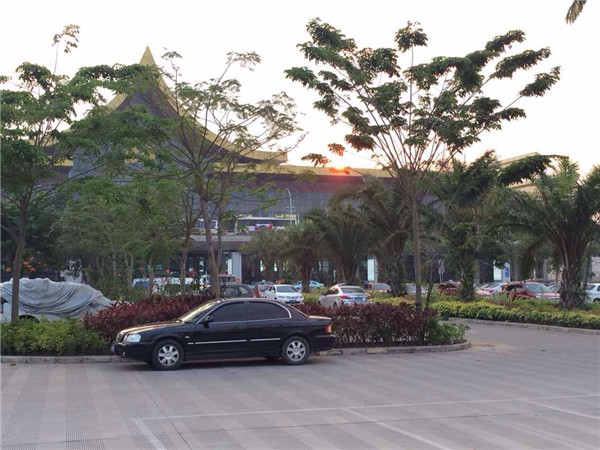 云南西雙版納普洱茶山行——納新2015年春（1）