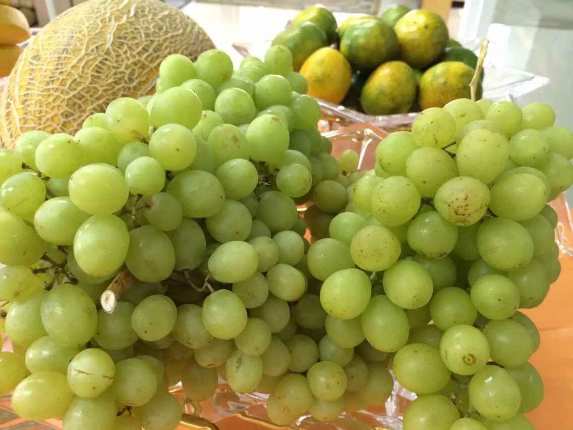 納新抽獎(jiǎng)活動(dòng)進(jìn)行時(shí)——籌備篇