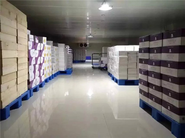 【資訊】納新（長(zhǎng)沙）倉(cāng)儲(chǔ)中心建設(shè)于4月17日全面竣工