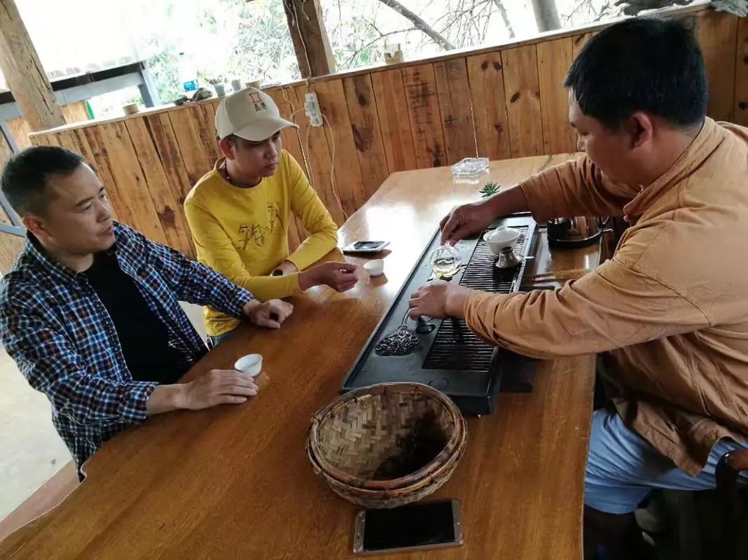 【2017納新云南茶山行】賀開區(qū)品鑒會