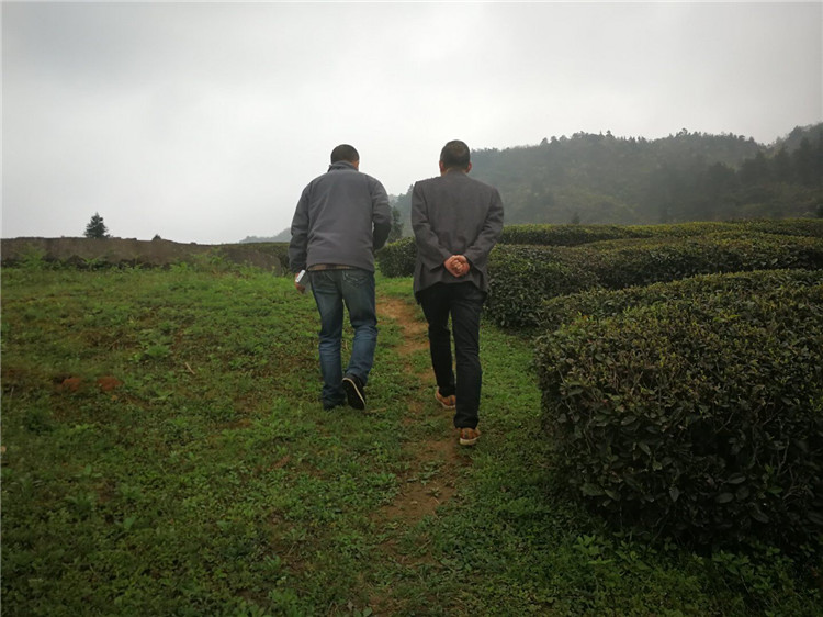 2018年納新茶山行圓滿結(jié)束，感謝大家的關(guān)注