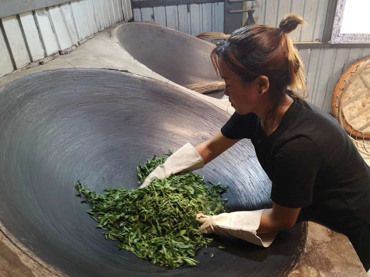 2020納新云南茶山行——老班章五寨之一：邦盆2