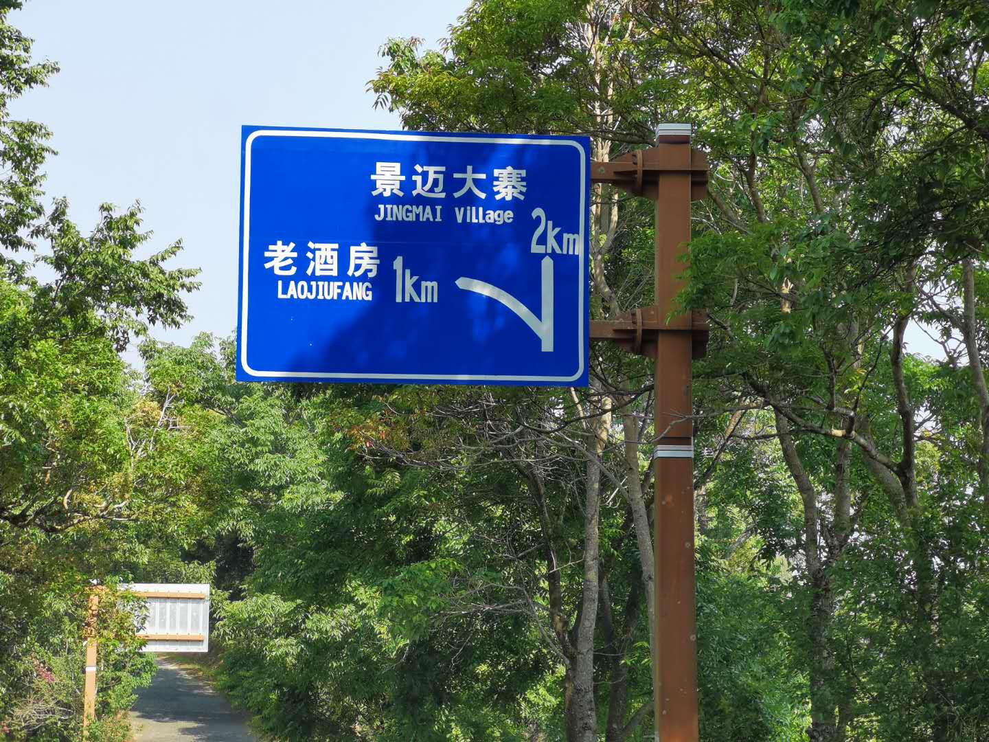 2020納新云南茶山行——景邁山1