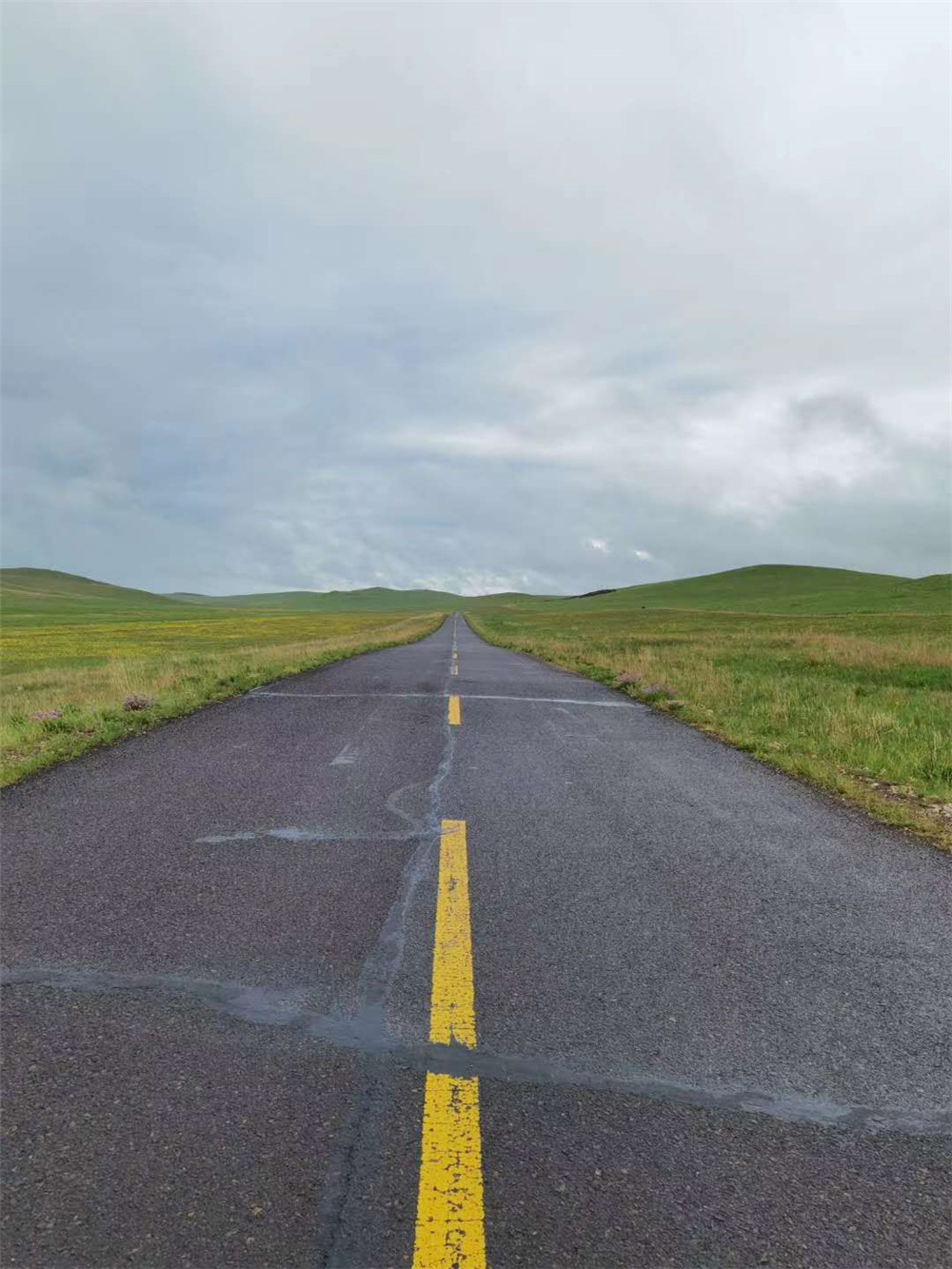 2020年納新草原行 —— 烏拉蓋大草原隨拍