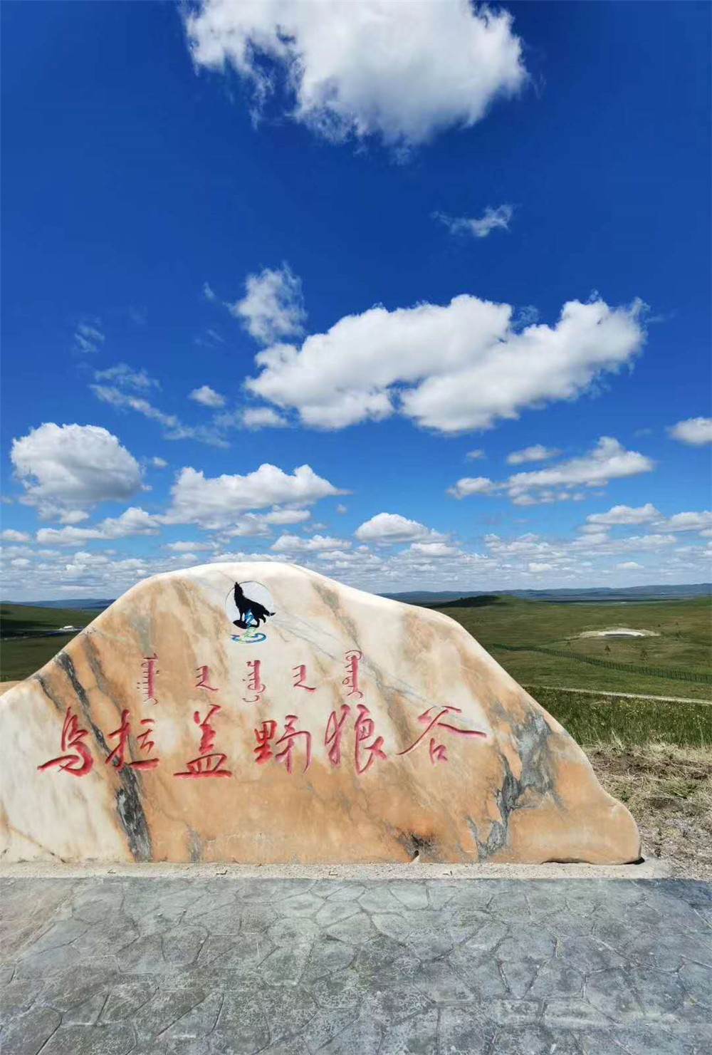 2020年納新草原行 —— 與狼群隔柵相望