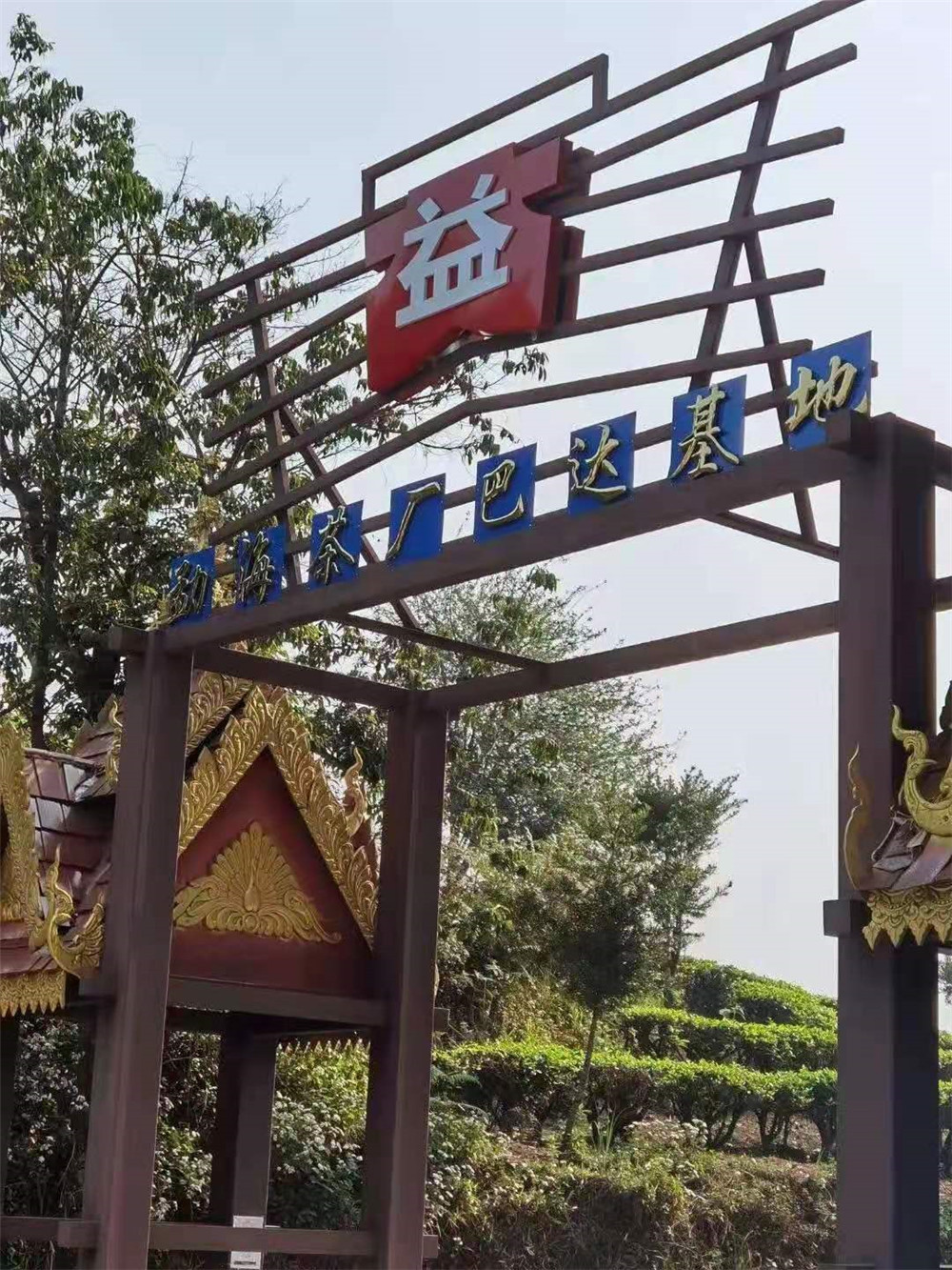 2021納新勐海茶山行 -- 大益勐海茶廠巴達(dá)基地