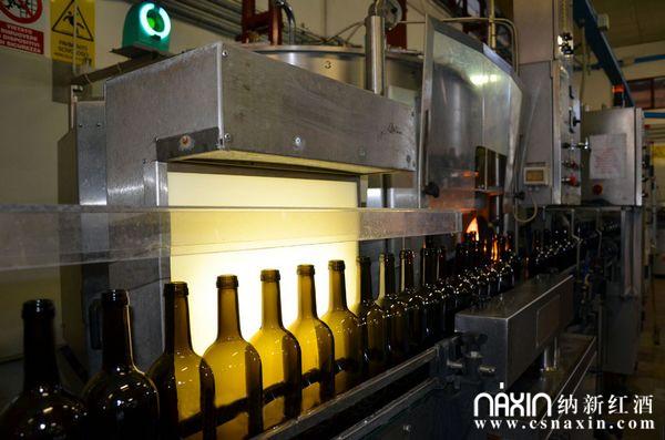 納新紅酒